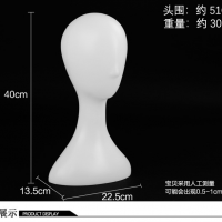 Abstract Model Head -...