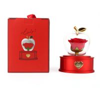 Transparent apple drawe...