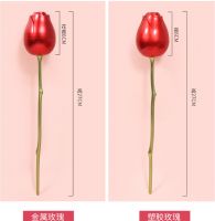 Single rose with branch...